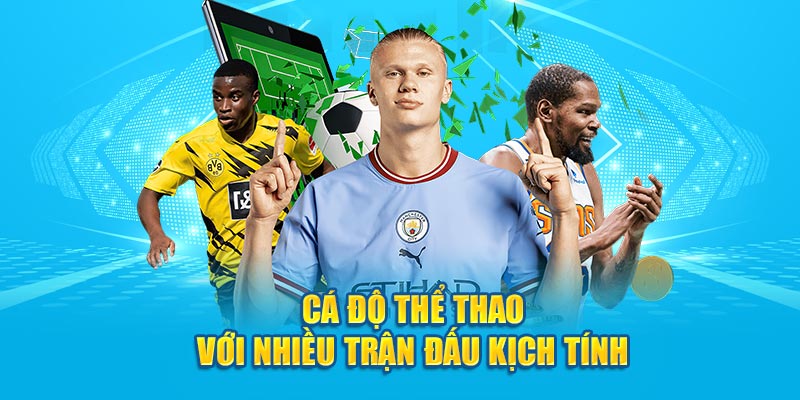 Cá độ thể thao với nhiều trận đấu kịch tính